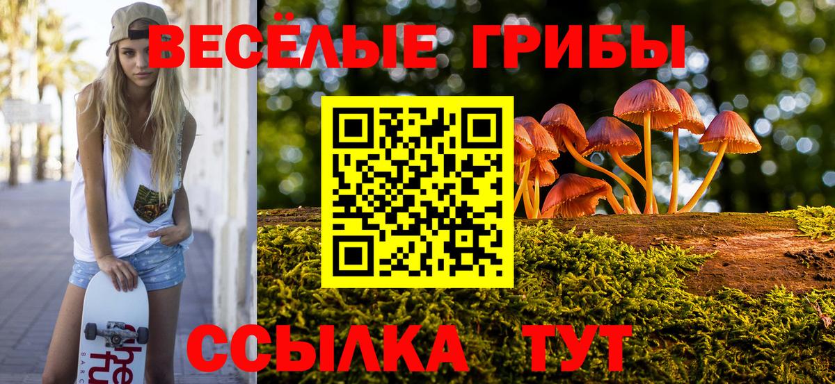 Галлюциногенные грибы Psilocybine cubensis Киселёвск
